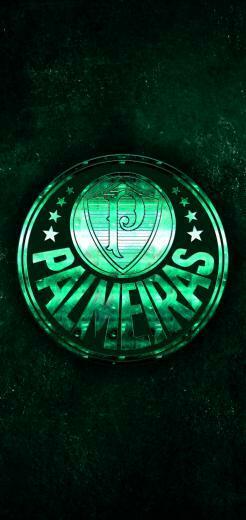 Sports Sociedade Esportiva Palmeiras Wallpaper Id