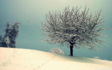 Vintage Winter Wallpaper Top
