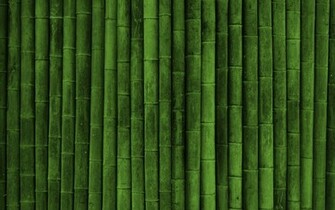 Bamboo Wallpaper