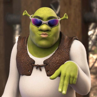 Shrek Wallpaper 4k Meme