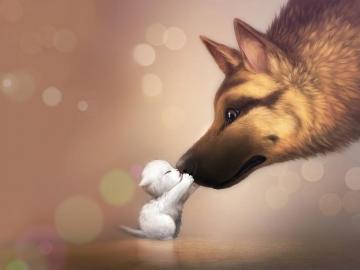 Cute Animal iPhone Wallpaper Animals German Shepherd And Cat