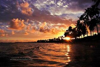 Cool Summer Season Pictures Entertainmentmesh