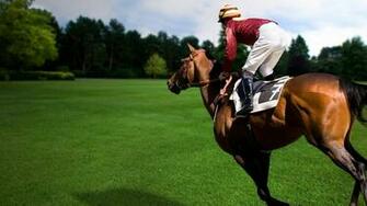 Wallpaper Sports Equestrian Horse Rider Full HD 1080p