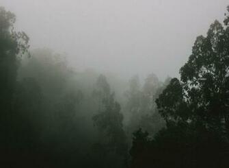 Best Eerie Background Wallpaper