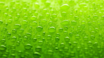 Lime Green Wallpaper HD