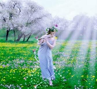 Beautiful Spring Scenery Wallpaper