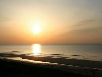 Animals S Sunrise Beach Wallpaper For Beautiful Desktop