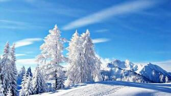 Winter HD Wallpaper 1080p