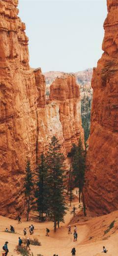 Bryce Canyon United States iPhone X Wallpaper