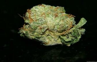 Platinum Bubba Kush HD Weed Wallpaper