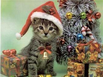 Animals And Christmas Animal Space