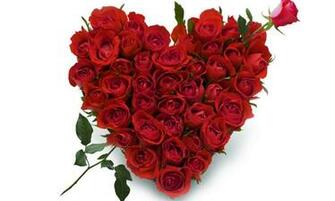 Valentines Day Image Sms Shayari Cards Wallpaper Quotes