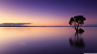 Calming Desktop Wallpaper On