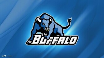 Blue Bulls Wallpaper