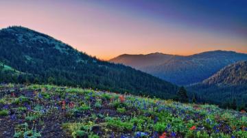 Beautiful Outdoors Wallpaper