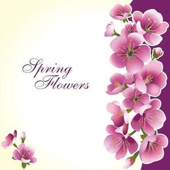 Dark Pink Flower Spring Background Set Vector