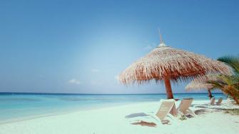 Factastic HD Image Wallpaper Desktop S
