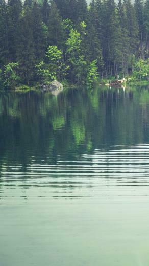 Beautiful Back To Nature iPhone Wallpaper Preppy