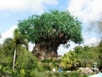 Disney World Animal Kingdom Pc Android iPhone And iPad Wallpaper