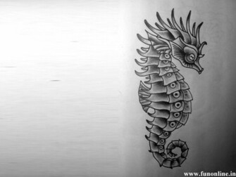 Seahorse Wallpaper Cute Water Creature Seahorses