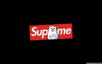 Supreme Cat 4k HD Desktop Wallpaper For Ultra Tv Dual