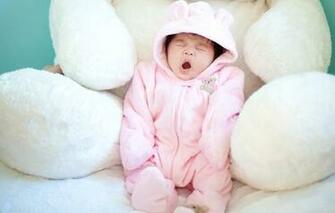 Pink Teddy Bear Toy White Plush Soft Background Wallpaper