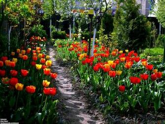 Spring Garden Wallpaper Open Walls
