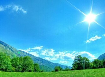 Summer Nature Wallpaper