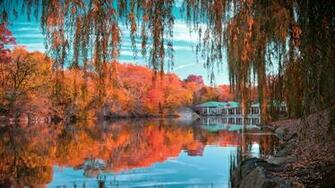 Central Park Wallpaper Background