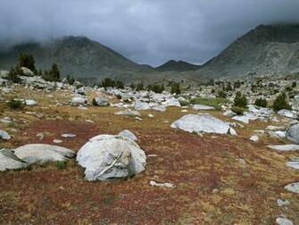 Tundra Facts Information And Threats From Climate Change