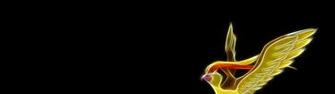 Pokemon Black Background Pidgeotto Tauboga Oely