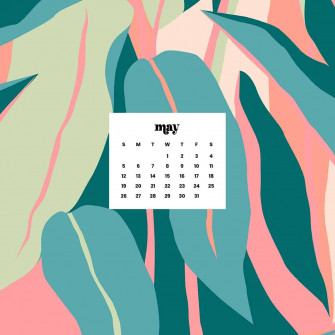 Aesthetic Wallpaper