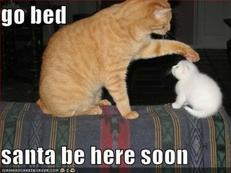 Christmas Cat Humor Funny Pics With Captions Best