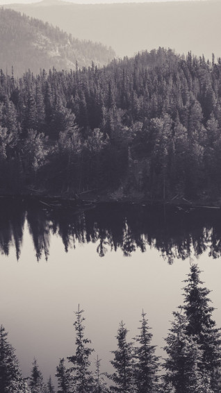 White iPhone Wallpaper