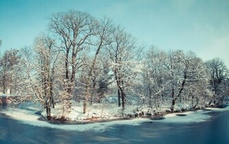 Winter Trees And River Wallpaper