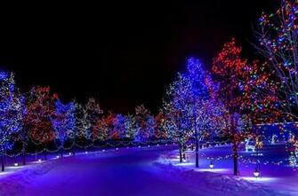 Winter Holiday Merry Christmas Happy New Year Nature Snow