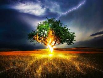 Tree Green Fire Lightning Strike Blue 4k Wallpaper Best