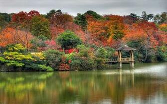 Pics Photos Nature Wallpaper Mother Natur