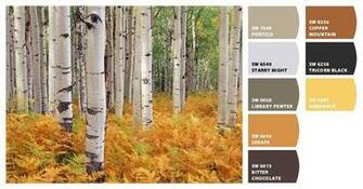 Birch Trees My Dream Bedroom