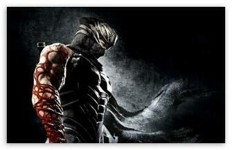 Ninja Gaiden HD Wallpaper For Standard Fullscreen Uxga Xga
