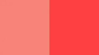 Coral Pink Background And Red Two Color