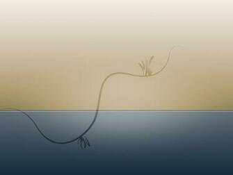 HD Desktop Background Simple Background