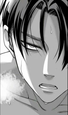 Levi Ackerman Wallpaper Enjpg