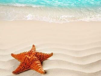 File Name Wide HD Starfish Wallpaper Flgx Mb