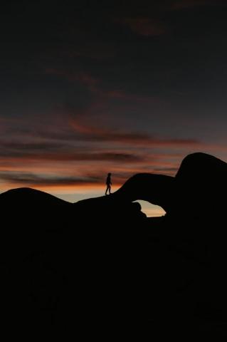 Joshua Tree Sunset Pictures Image