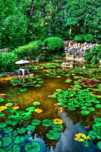 Zen Garden iPhone Wallpaper