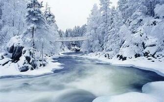 Nature Of The Snow Covered Back To Wallpaper Home