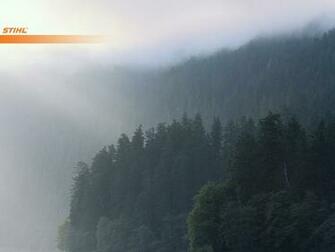 Stihl Desktop Wallpaper Usa