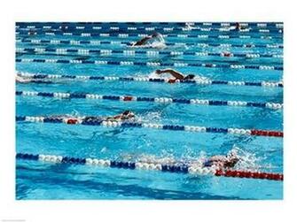 Hall Of Fame Fort Lauderdale Florida Usa Poster Print X