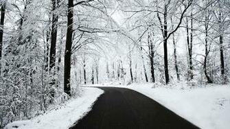 Snowy Forest Road Wallpaper Nature